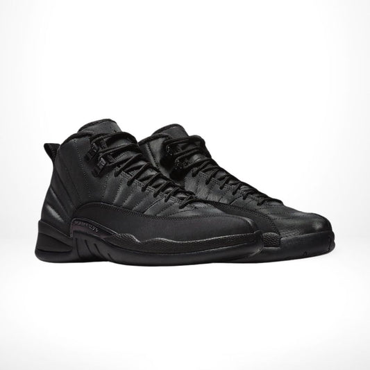 Air Jordan 12 Retro Winterized Triple Black